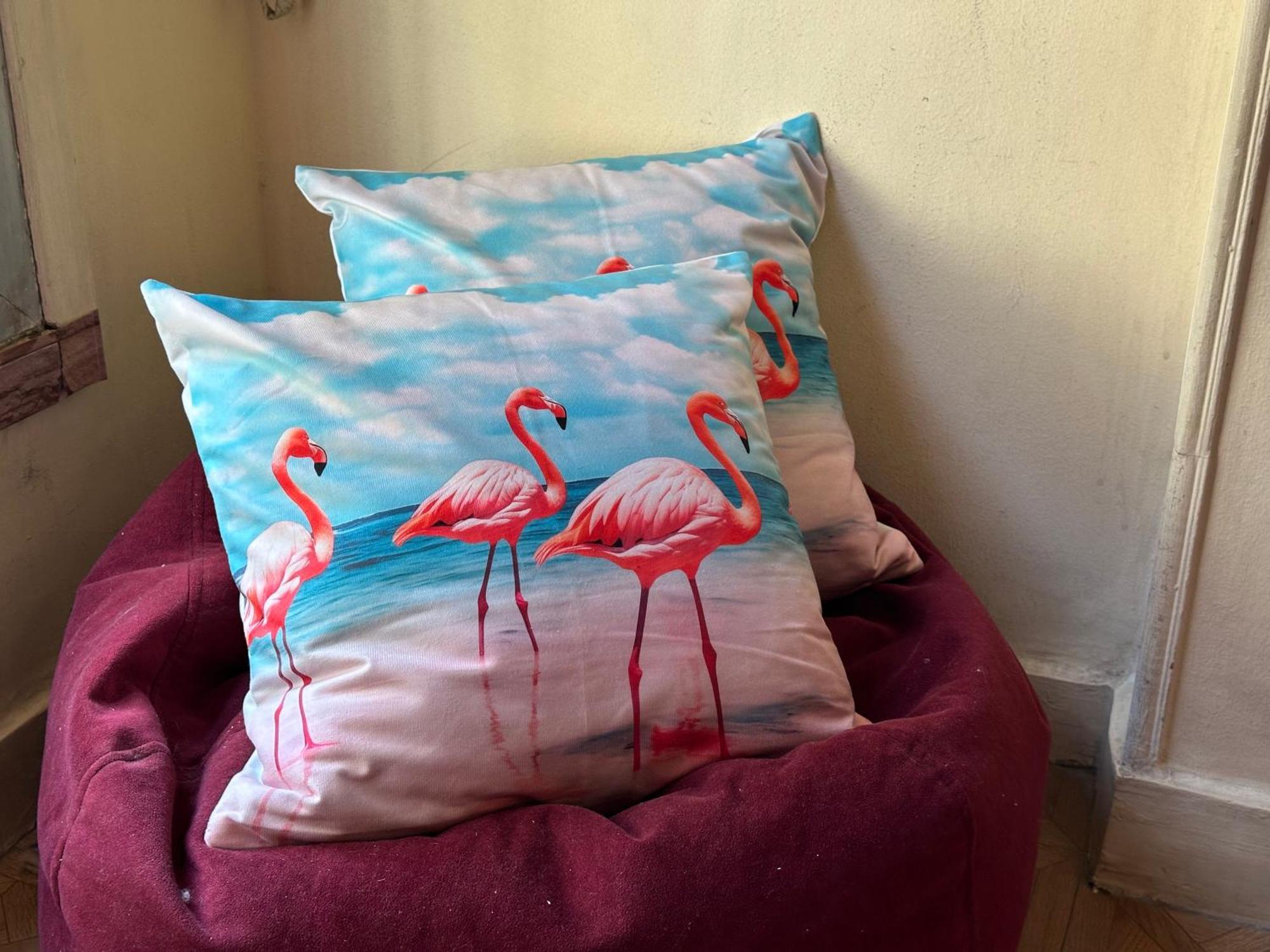 Flamingo 5 Stars Cozy Room - With Ac El El Cairo Exterior foto